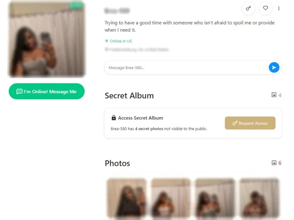 Sugar baby profile example