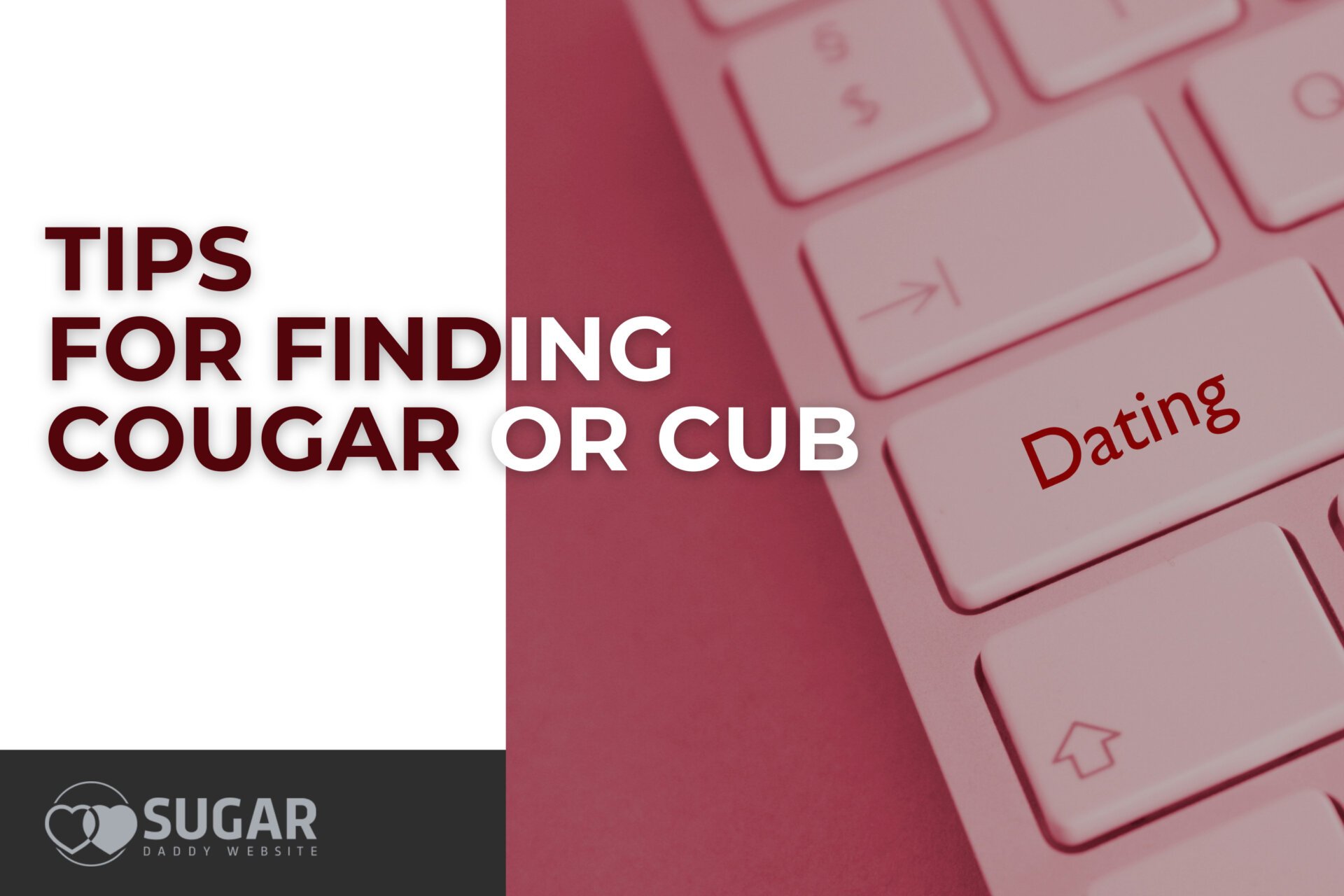 Tips for finding a cougar